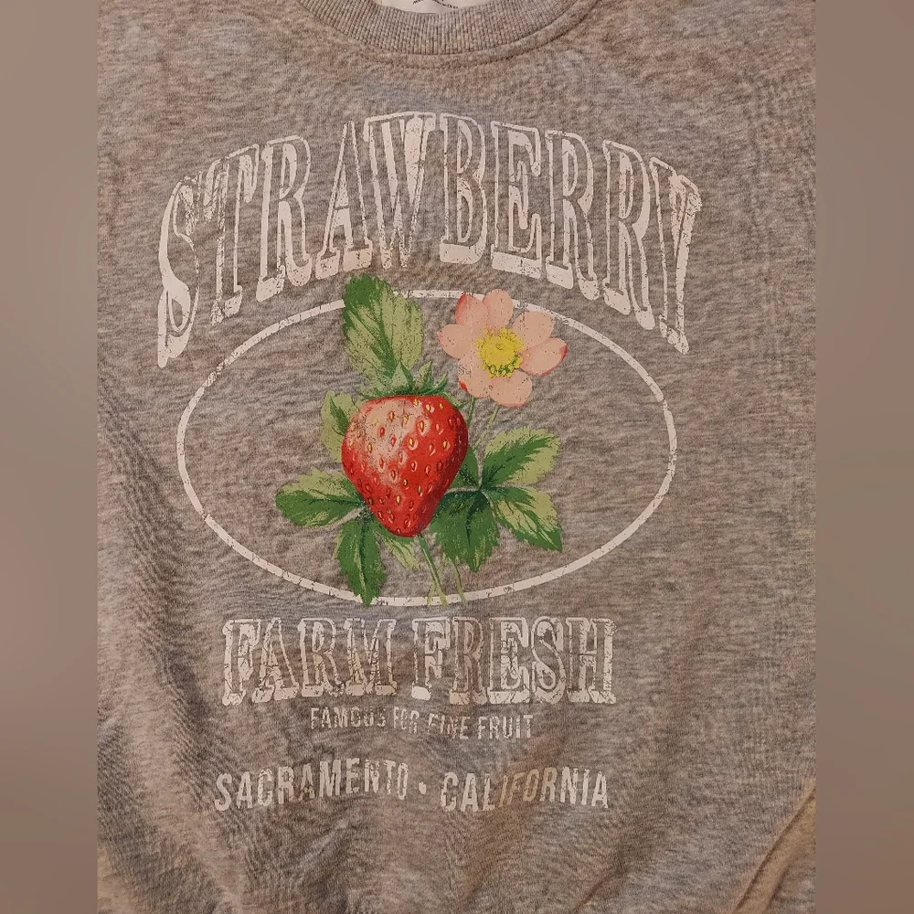 No Boundaries Heather Gray Boxy Cropped Strawberry Graphic Sweatshirt - Picture 7 of 7